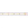 LED Streifen wasserdicht 48V einfarbig 12mm IP68 20 Meter 168ch/m led streifen kürzen