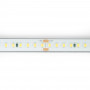 LED Streifen wasserdicht 48V einfarbig 12mm IP68 led streifen wasserdicht außenbereich