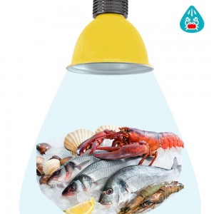 30W LED-Dunstabzugshaube speziell für Fisch- und Meeresfrüchtegeschäfte.