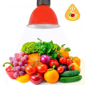 Rote 30W LED-Glocke speziell für Obst und Gemüse