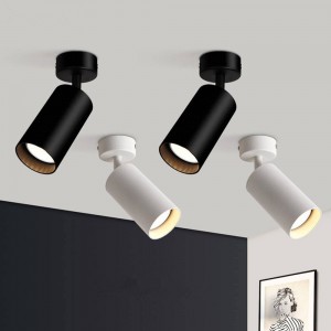 Wall and ceiling lights Adjustable