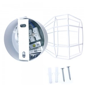 Cage wall or ceiling light