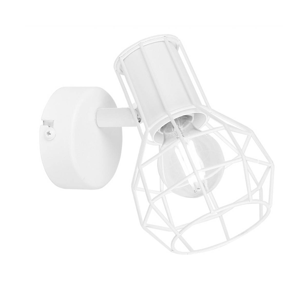 Cage wall or ceiling light