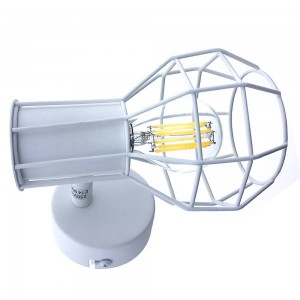 Cage wall or ceiling light