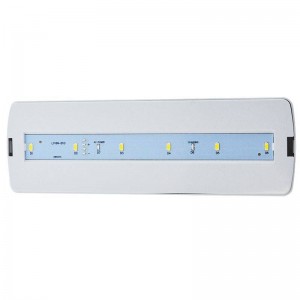 SELF TEST LED emergency light - 3W - 250lm - Autonomy 3h