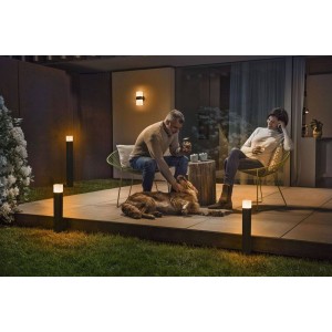 outdoor rgbw lamps