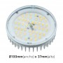 fumagalli bulb dimensions