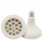 LED PAR38 bulbs