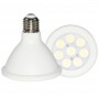 LED PAR38 15W bulbs