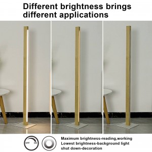 dimmable floor lamp