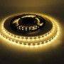 LED Strip 5M, 12V-DC, 72W, IP20, SMD 5050, Single Color