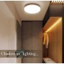 LED ceiling