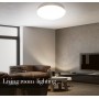 SMART HOME ceiling lights