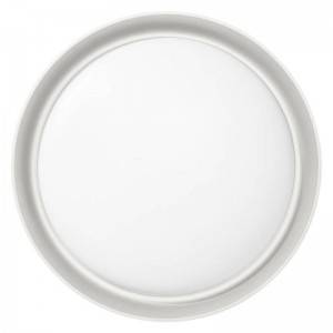 LED Smart Ceiling Light