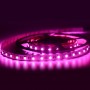 LED Strip 24V-DC RGBW 72W IP20 5ml Coil