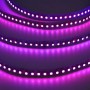 LED Strip 24V 24W, 600 SMD3030, 5M, IP20, 12mm - High Brightness