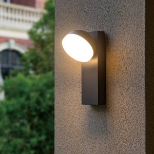 Adjustable LED exterior wall light