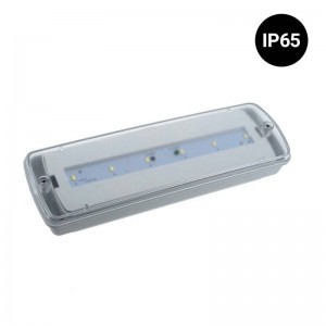 Waterproof LED emergency light IP65 3W 3 hrs of autonomy