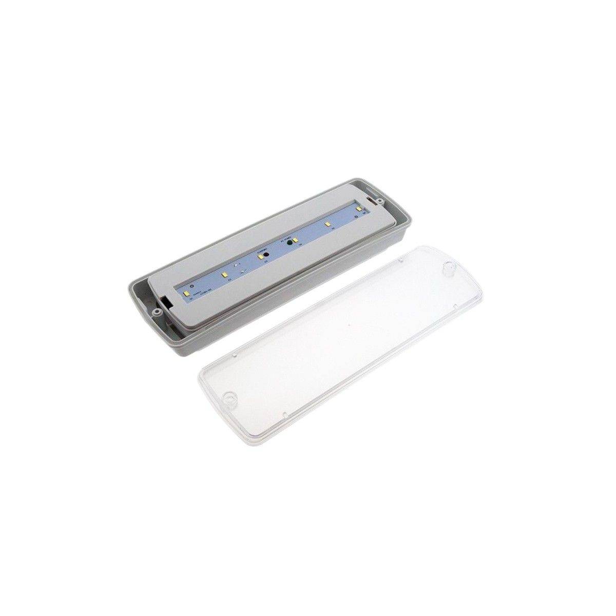 Buy LED waterproof emergency light 3 hours of autonomy IP65