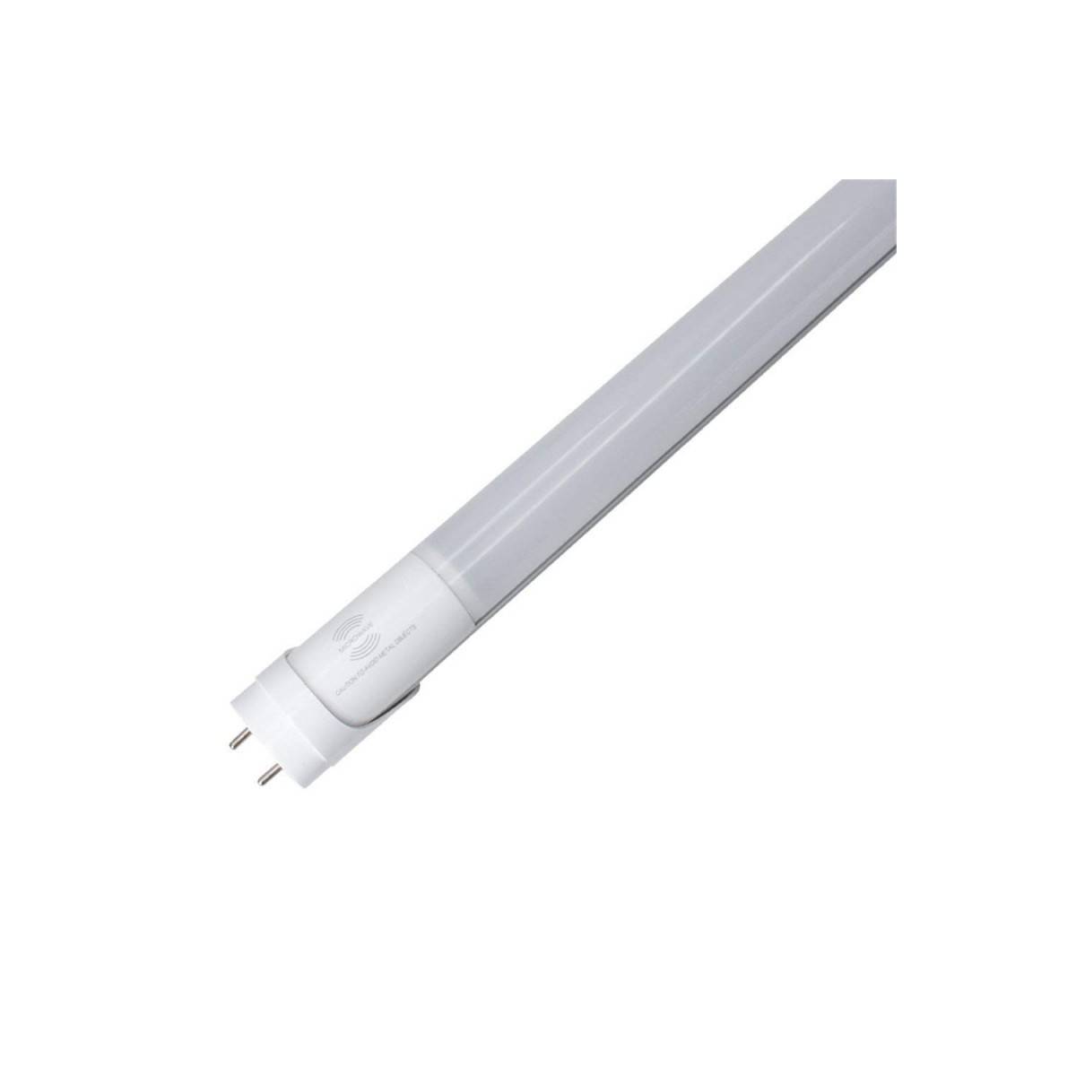 Néon LED T8 150 cm - ASE