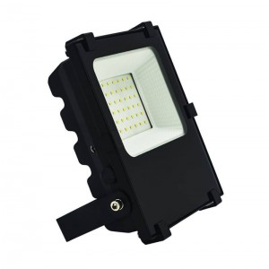 LED Outdoor Floodlight Pro 30W Philips Chip IP65