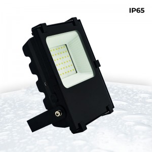 LED Outdoor Floodlight Pro 30W Philips Chip IP65