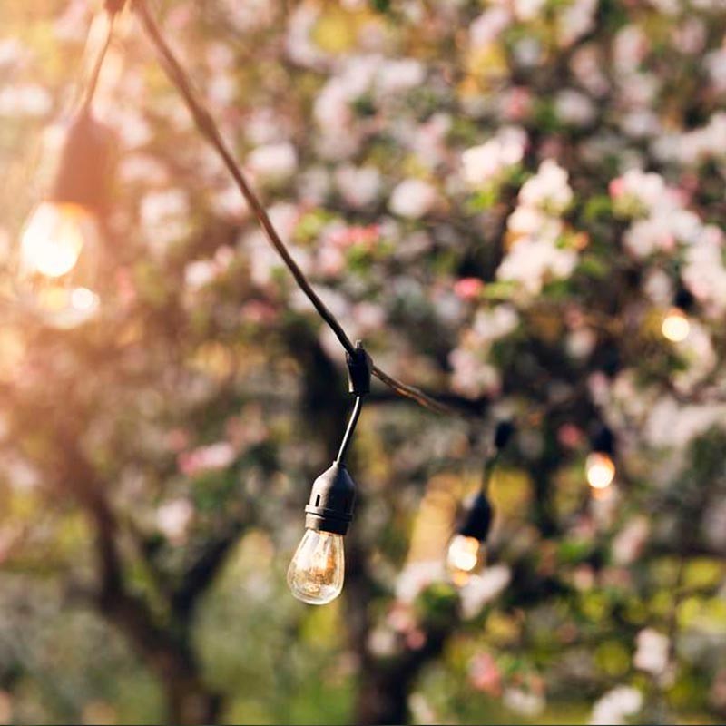 LED Bulb E27 1W Transparent LED Bulb E27 1W Transparent