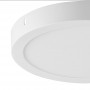 Surface mounted LED ceiling lamp 24W High Efficiency