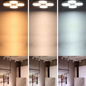 Pack Ceiling or wall lamp "CINEMA" with LED PAR30 E27 bulb