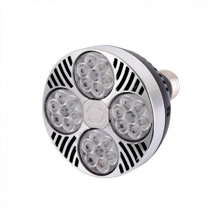 Pack Ceiling or wall lamp "CINEMA" with LED PAR30 E27 bulb