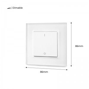 Dimmable Single Color Radio Frequency 3V-DC 1Zone Dimmable Single Color Switch