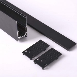 Magnetic Rail 20mm Surface 48V of 1 meter