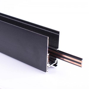 Magnetic Rail 20mm Surface 48V of 1 meter