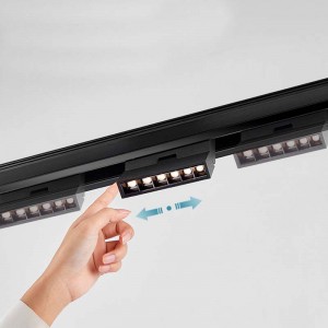 Magnetic Rail 20mm Surface 48V of 1 meter