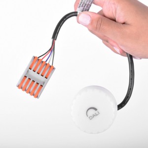 Dali sensor for B8137 LED bells