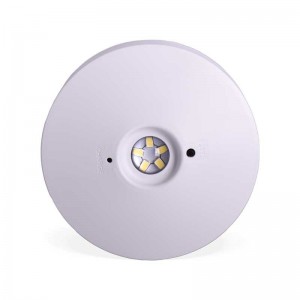 Surface or recessed LED emergency light 120lm 3W 3 hours IP20