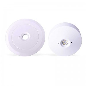 LED emergency light for surface or recessed mounting 120lm 3W 3 hours IP20