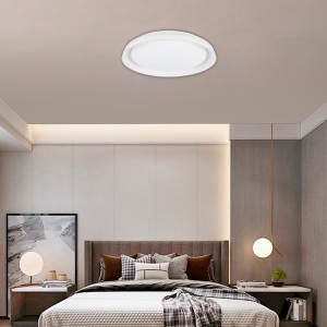 SMART LED Ceiling - RGBCW WIFI connection surface mounted 30W - IP20