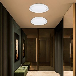 SMART LED Ceiling - RGBCW WIFI connection surface mounted 30W - IP20