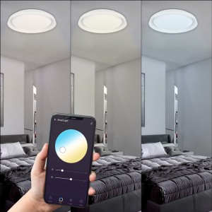 SMART LED Ceiling - RGBCW WIFI connection surface mounted 30W - IP20