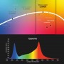 Meat spectrum