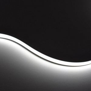 cold white neon flexible