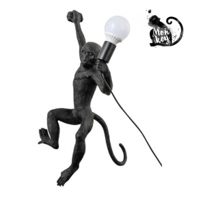 Mono resin wall light "Cesar".