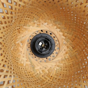 Detail-internal-lampshade