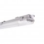 Tri-proof batten for 2 120cm LED tubes - IP65