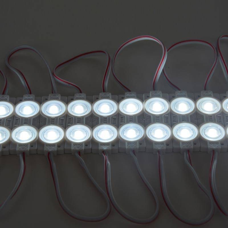 LED chips with two SMD2835 chips 1.2W 12V IP65