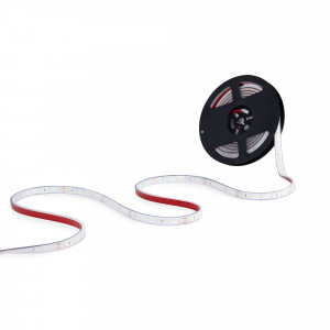 24V DC LED Strip - 12W/m - Single Color - 12mm - IP67 - 5 meters - SMD2835 60LED/m