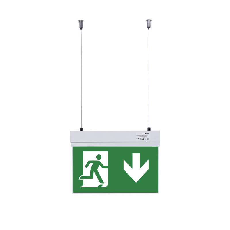 Hanging permanent emergency light with "Down arrow" pictogram