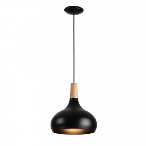 Metal and wood pendant lamp - "Loop"