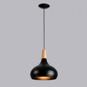 Metal and wood pendant lamp - "Loop"
